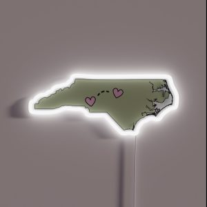 Raleigh Charlotte RGB Neon Sign