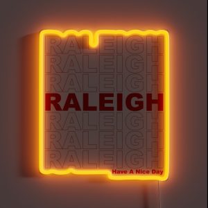 Raleigh Have A Nice Day RGB Neon Sign