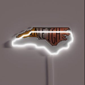 Raleigh Marbled 2 0r RGB Neon Sign