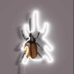 Realistic Beetle Nature Pretty RGB Neon Sign Realistic Beetle Nature Pretty RGB Neon Sign