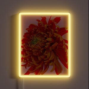 Red Chrysanthemum 2 RGB Neon Sign