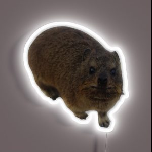 Rock Hyrax Adorable RGB Neon Sign Rock Hyrax Adorable RGB Neon Sign