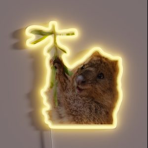 Rock Hyrax Dassie Quokka RGB Neon Sign Rock Hyrax Dassie Quokka RGB Neon Sign
