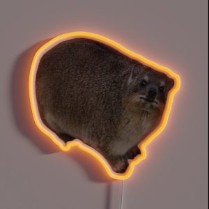 Rock Hyrax Dassie RGB Neon Sign Rock Hyrax Dassie RGB Neon Sign
