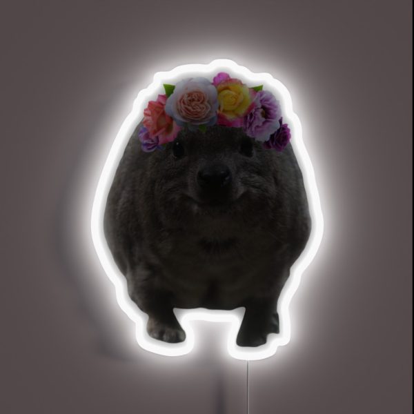 Rock Hyrax Flower Crown RGB Neon Sign