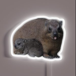Rock Hyrax Mom And Baby RGB Neon Sign Rock Hyrax Mom And Baby RGB Neon Sign