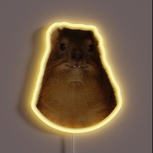 Rock Hyrax Photo Dassie Cute Vampire Potato RGB Neon Sign