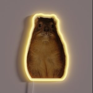 Rock Hyrax Photo Dassie Cute Vampire Potato RGB Neon Sign