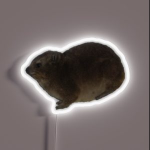Rock Hyrax RGB Neon Sign