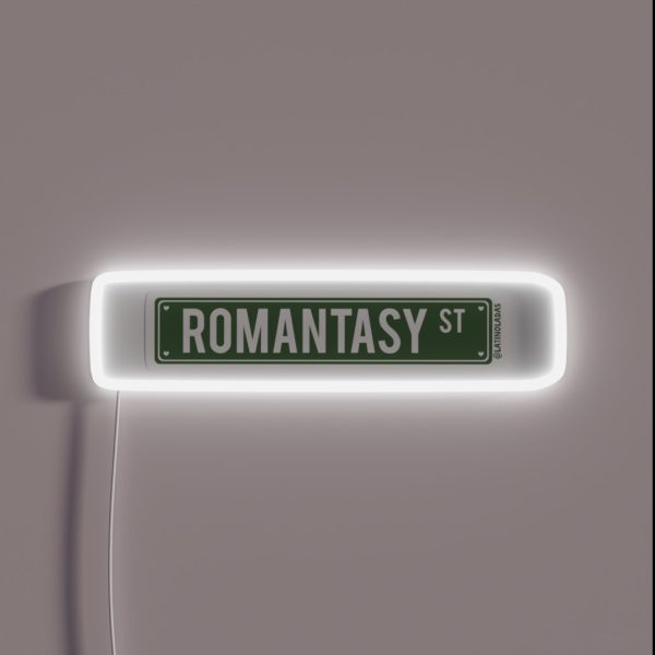 Romantasy St Fantasy Aesthetic Bookish Dark RGB Neon Sign