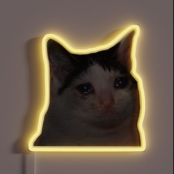 Sad Boy RGB Neon Sign