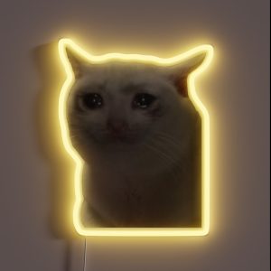 Sad Cat Meme RGB Neon Sign