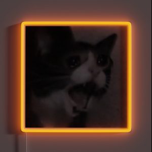 Screaming Crying Sad Cat RGB Neon Sign