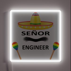 Senior Engineer RGB Neon Sign