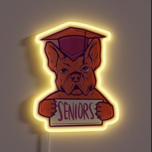 Seniors 2022 RGB Neon Sign Seniors 2022 RGB Neon Sign