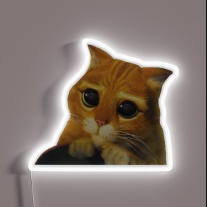 Shrek Puss In Boots Cute RGB Neon Sign