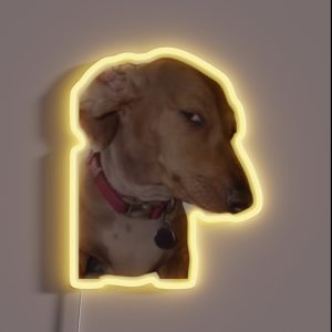 Side Eye Dog Meme RGB Neon Sign