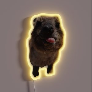Silly Rock Hyrax Sticking Out Tongue RGB Neon Sign Silly Rock Hyrax Sticking Out Tongue RGB Neon Sign