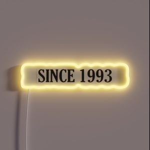 Since 1993 Since 1993 Year 1993 Birth 1993 RGB Neon Sign