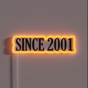 Since 2001 Since 2001 Year 2001 Birth 2001 RGB Neon Sign