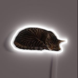 Sleepy Cat RGB Neon Sign Sleepy Cat RGB Neon Sign