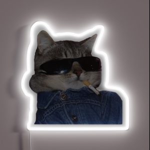 Smoking Cool Cat RGB Neon Sign
