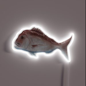Snapper RGB Neon Sign