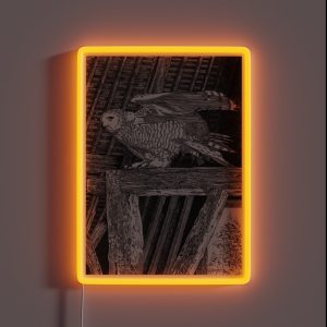 Snowy Owl In Barn RGB Neon Sign