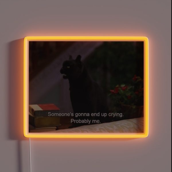 Someone S Gonna End Up Crying Probably Me RGB Neon Sign