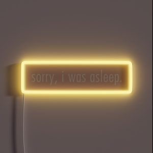 Sorry I Was Asleep RGB Neon Sign