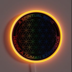 Spiritual Being Having A Human Experience RGB Neon Sign