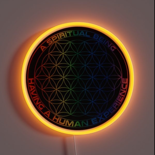 Spiritual Being Having A Human Experience RGB Neon Sign