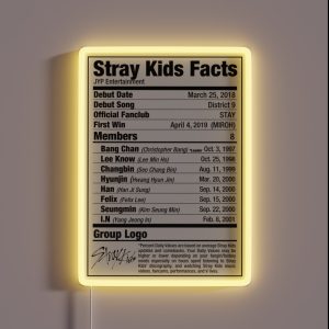 Stray Kids Kpop Nutritional Facts RGB Neon Sign