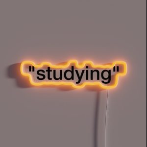 Studying RGB Neon Sign