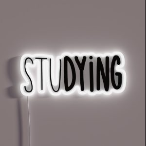 Studying RGB Neon Sign