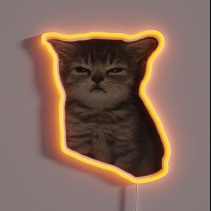 Sulky Mad Sad Cat Meme RGB Neon Sign Sulky Mad Sad Cat Meme RGB Neon Sign