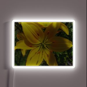 Summer Lily 2019 RGB Neon Sign Summer Lily 2019 RGB Neon Sign