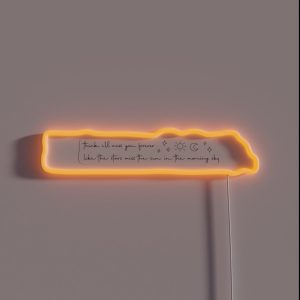 Summer Time Sadness RGB Neon Sign Summer Time Sadness RGB Neon Sign