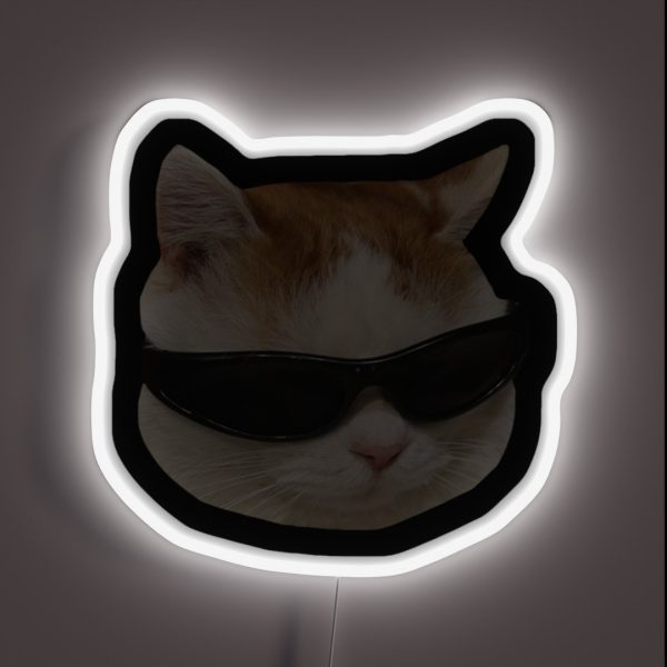 Sunglasses Cat Meme 4 Black Outline RGB Neon Sign