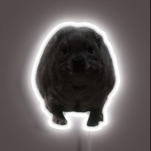 Sweet Rock Hyrax RGB Neon Sign Sweet Rock Hyrax RGB Neon Sign