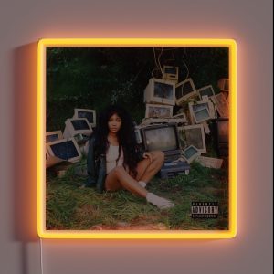 SZA CTRL RGB Neon Sign
