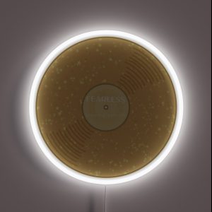 T Swift Taylor Fearless Album Music Vinyl RGB Neon Sign