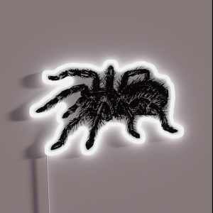Tarantula Spider RGB Neon Sign
