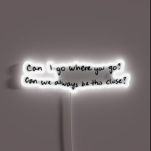 Taylor Swift Lover RGB Neon Sign