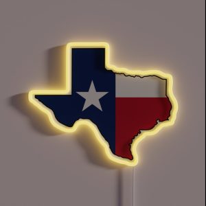 Texas With State Flag RGB Neon Sign