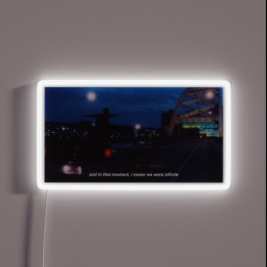 The Perks Of Being A Wallflower Quote RGB Neon Sign The Perks Of Being A Wallflower Quote RGB Neon Sign