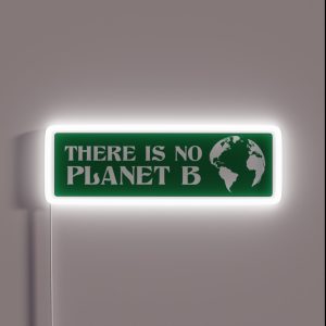 There Is No Planet B RGB Neon Sign
