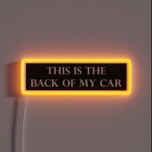 This Is The Back Of My Car Funny Bumper RGB Neon Sign