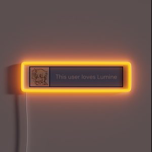 This User Loves Lumine RGB Neon Sign