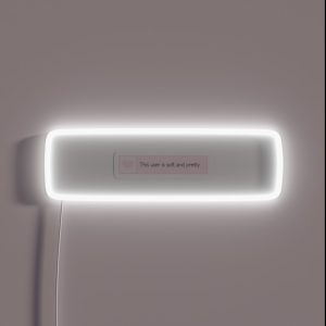 This User RGB Neon Sign